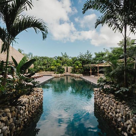 Naio Hotel Y Villas 帕洛米诺 外观 照片